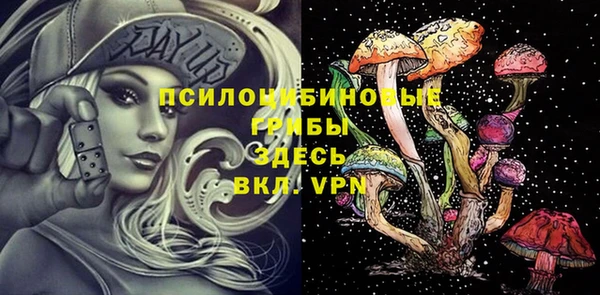 шишки Абаза