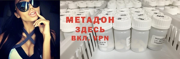 шишки Абаза