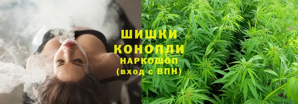 дживик Абинск