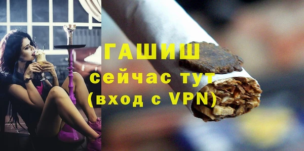 шишки Абаза