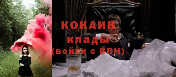 шишки Абаза