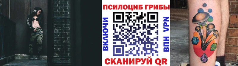 Галлюциногенные грибы Cubensis  мориарти как зайти  Кизилюрт  omg  